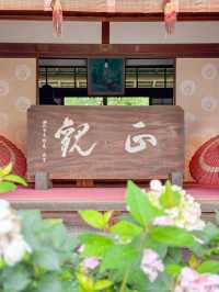 【京都】柳谷観音あじさいウィーク