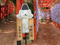 石浦神社獨特御神籤與「きまちゃん」魅力揭密🐾✨