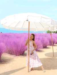Papa Beach Pattaya 