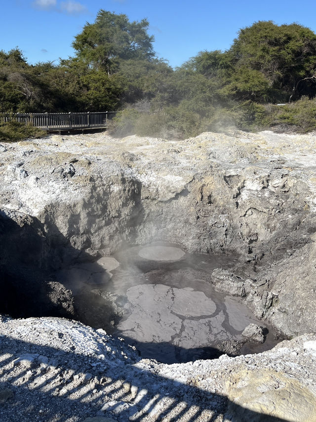 🌋「Pōhutu 間歇泉」必拍｜紐西蘭南半球最大水柱 • 火山地心呼喚！