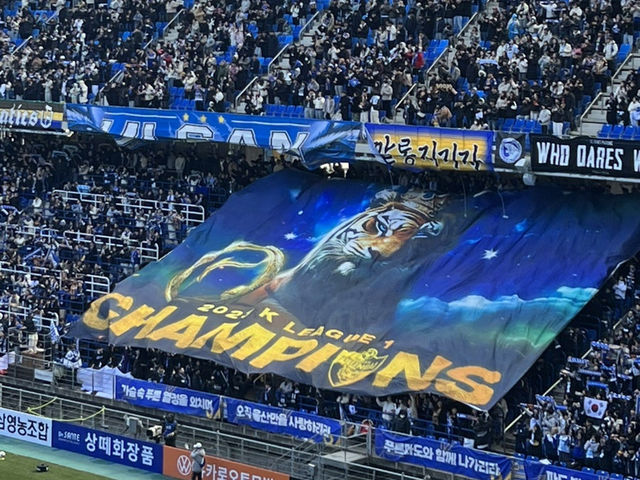 ⚽️ 에너지 뿜뿜! 색다른 울산 야외 데이트, 문수축구장 산책 & 직관 💙