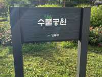 수풀공원의 꽃들