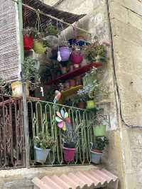 🏘️ 몰타 골목을 채우는 창과 발코니의 표정 🌿
