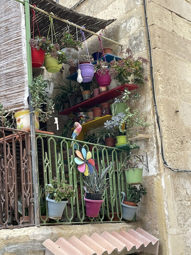 🏘️ 몰타 골목을 채우는 창과 발코니의 표정 🌿