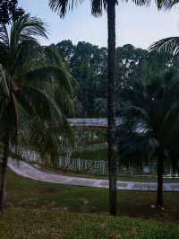 🌳 Taman Rakyat Klang – Where Chill Vibes Meet a Little Adventure