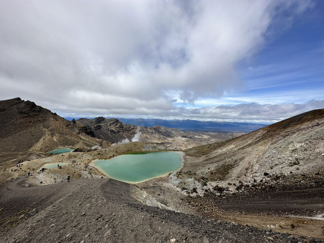 紐西蘭旅遊景點💧Blue Lake｜走一圈祖靈的鏡湖，藍與綠交融的清新森林路線 