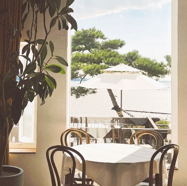 Talkraphy Cafe