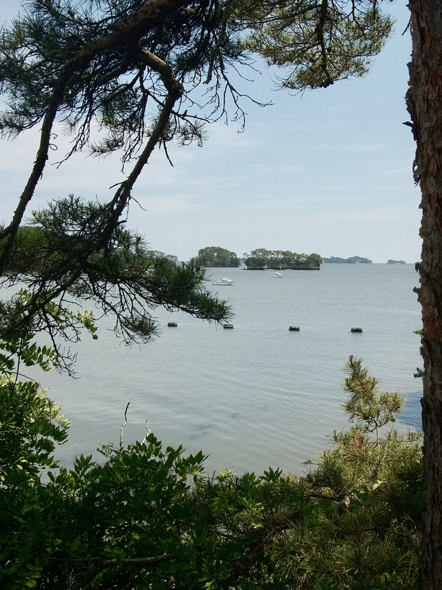 【宮城】美しい海が魅力の日本三景のひとつ | 松島