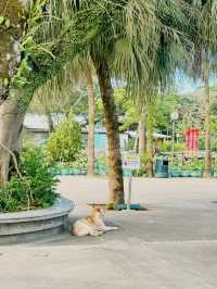 What’s near Hong Kong Airport? Lantau island !