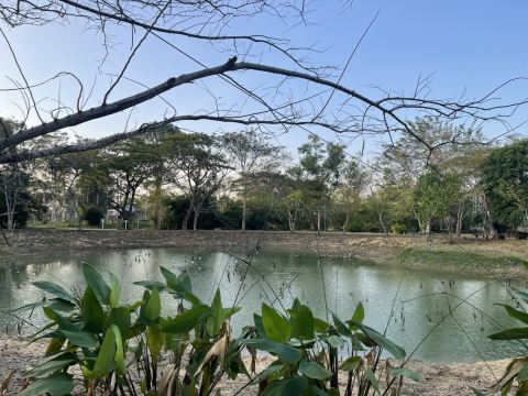 Trang Province