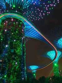 Gardens By the Bay ชมต้นไม้ยักษ์ โชว์แสงสีเสียง 