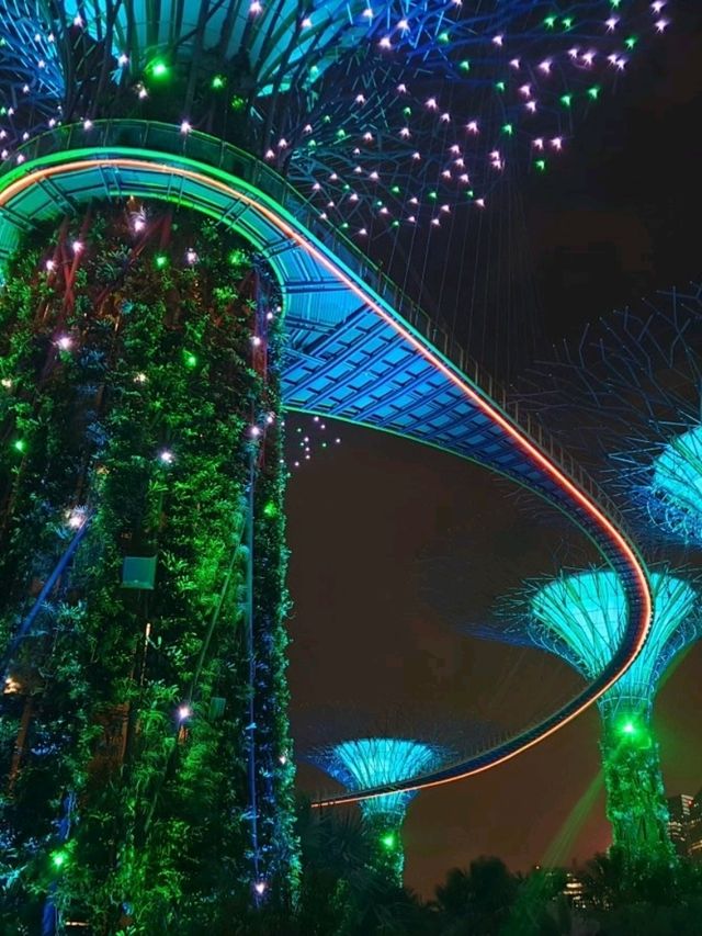 Gardens By the Bay ชมต้นไม้ยักษ์ โชว์แสงสีเสียง 