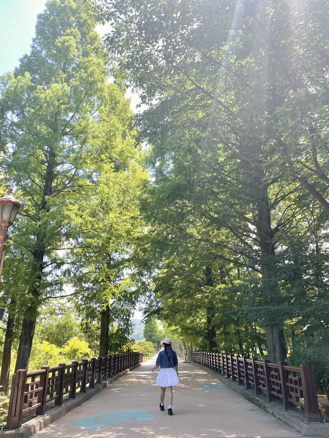경주에 이런 곳이? 요즘뜨는 천년숲정원💜
