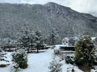 Snow Season in Yunnan  