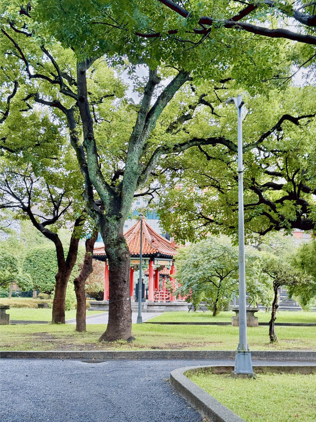 타이베이 공원 추천🌳