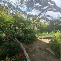 Wendy Whiteley’s Secret Garden