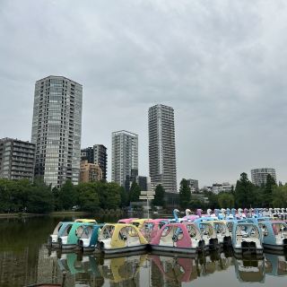 Tokyo Travel Guide for First-Timers: 15-Day Itinerary