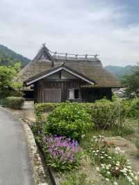 美山合掌村～很有特色的建築～牛奶餅乾必買