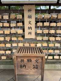 Meiji Jingu: Tokyo’s Peaceful Heartbeat in a Sacred Forest