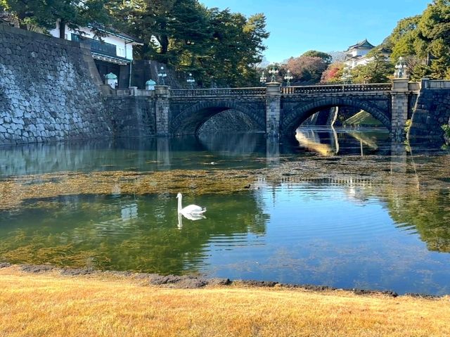 A Glimpse into the Heart of Tokyo – The Imperial Palace
