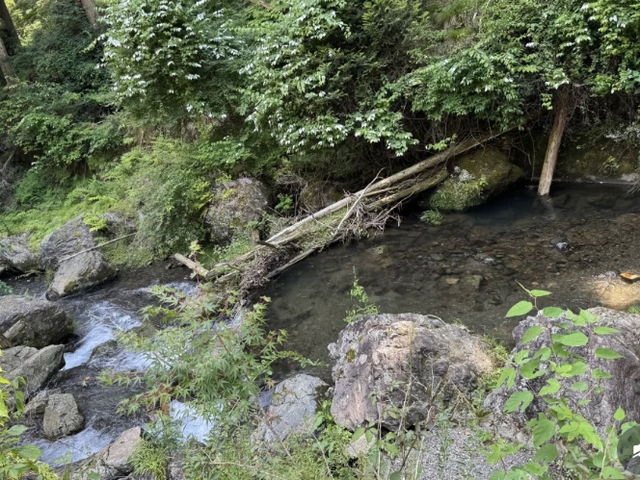 A Sunny Trek to Kifune Shrine: Worth the Walk? ☀️⛩️