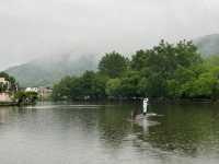 The Brushstroke Village: Hongcun’s Silent Elegance