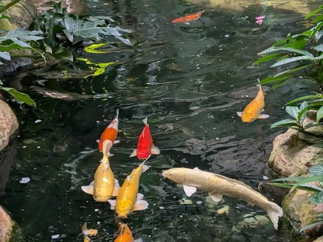 Family Luxury Redefined – My All-Ages Stay at Shangri-La Singapore