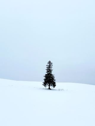 Саппоро Биэй Тур