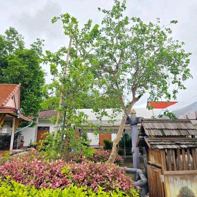 วัดปรางค์