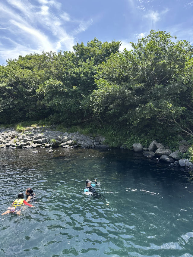 제주 여름 여기만 가도 성공적🩵