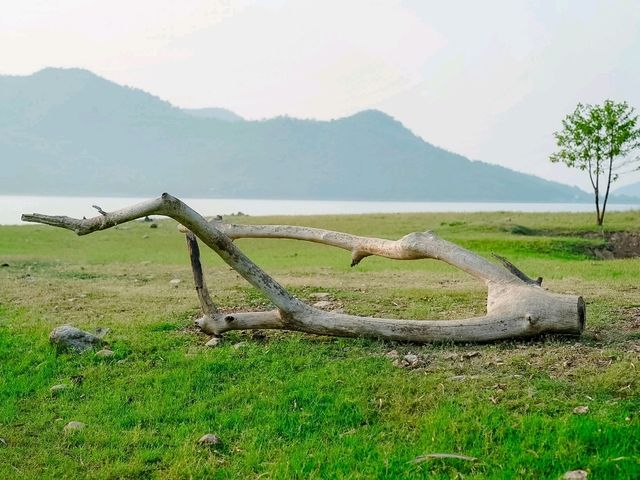 La Colline Campground แคมป์ปิ้ง 