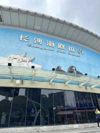 ✨Recommended - Must Visit in Changsha 🩵🐬✨