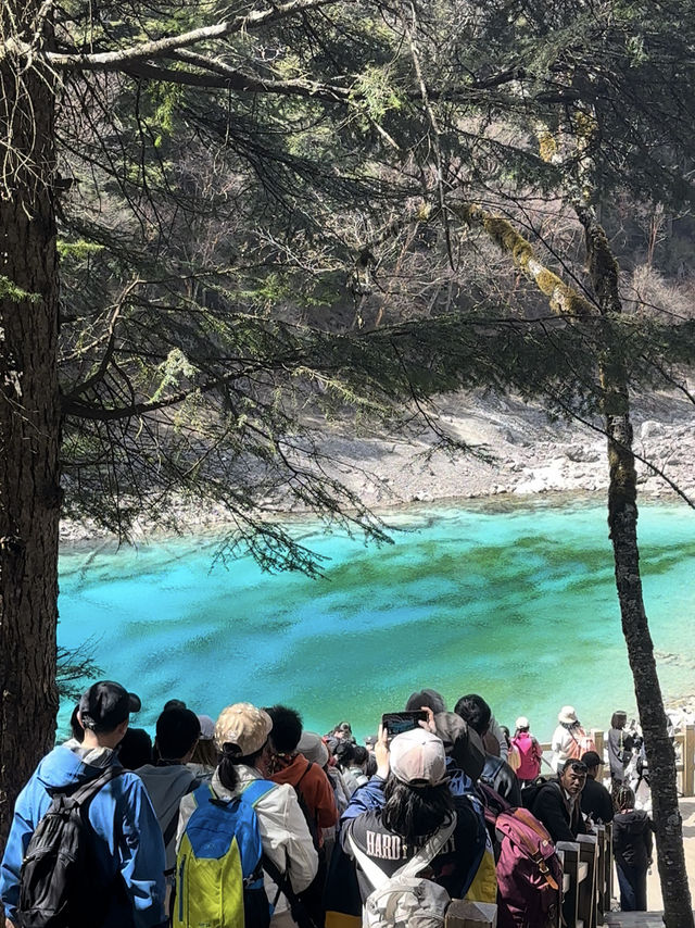Five-Color Pond:Jiuzhaigou’s Liquid Kaleidoscope 