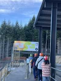 🎢 Luge Ride – Skyline Queenstown