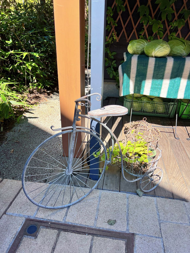 【軽井沢】涼を感じる🌿𓂃◌𓈒𓐍避暑地で夏を満喫