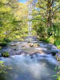 【軽井沢】涼を感じる🌿𓂃◌𓈒𓐍避暑地で夏を満喫