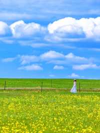 🌿 Summer in Hulunbuir, very beautiful!!!