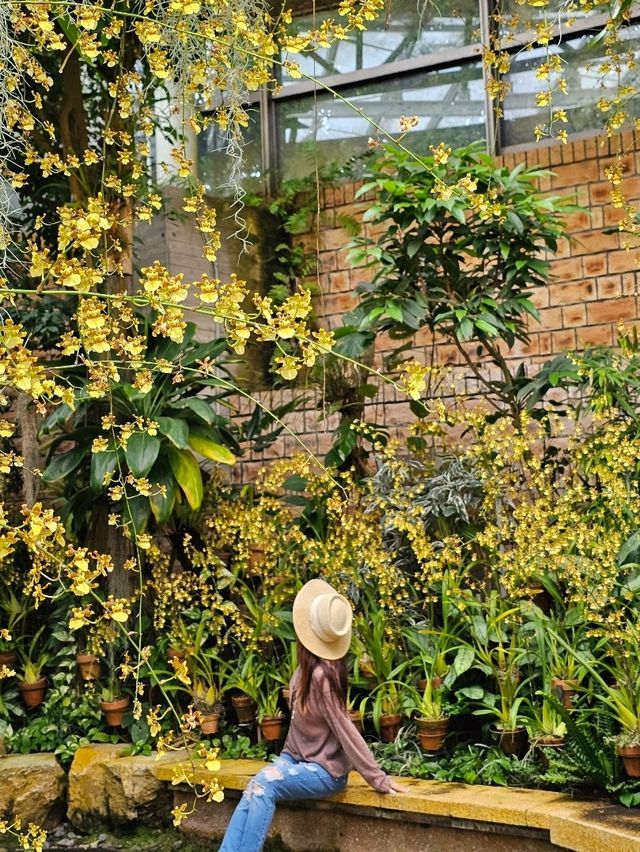 🌺トロピカルな夢の温室へ──沖縄の楽園をまるごと体感。