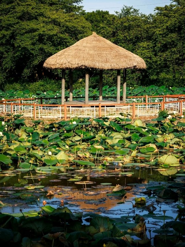 Goljeongji Pond
