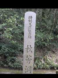🌿秋吉台｜日本最大級のカルスト台地で大自然を感じる絶景ハイキング
