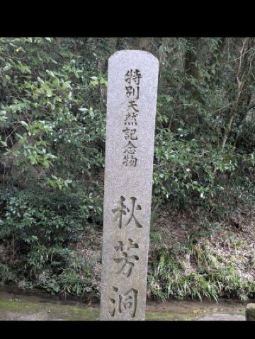 🌿 秋吉台 | 在日本最大的喀斯特高原上進行一次精彩的戶外健行