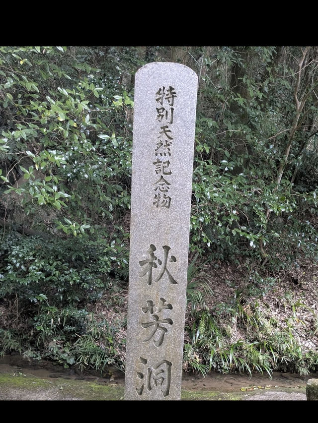 🌿秋吉台｜日本最大級のカルスト台地で大自然を感じる絶景ハイキング