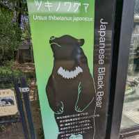 【埼玉/大宮🇯🇵】本当に無料でいいんですか…？！大宮公園小動物園