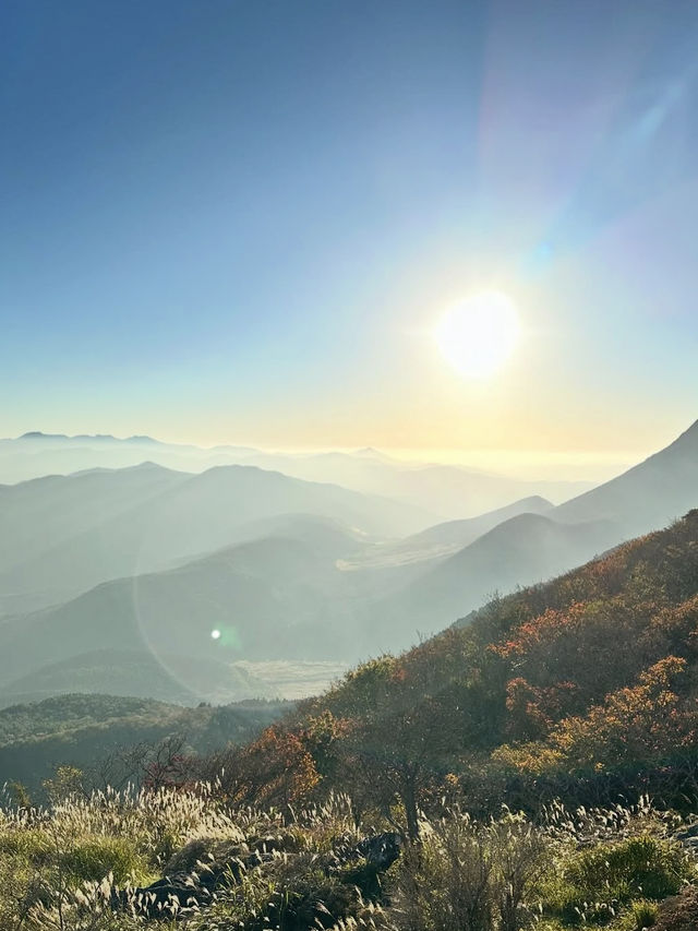 ロープウェイで空中散歩!鶴見岳からの絶景に感動✨   ロープウェイで空中散歩!鶴見岳からの絶景に感動✨