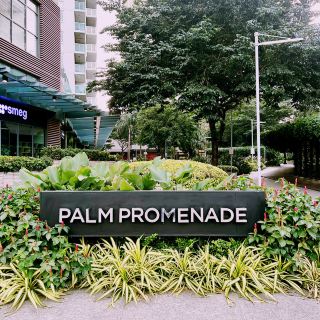 🐾 Palm Promenade Solo Escape: Makati’s Pet-Friendly Paradise! #SoloWithPets
