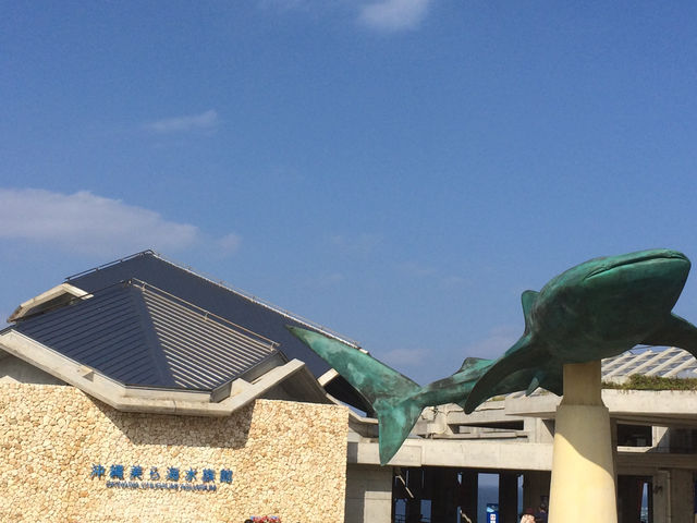 【沖縄・国頭郡】🦈美ら海水族館〜世界最大のジンベエザメが目の前〜 【沖縄・国頭郡】🦈美ら海水族館〜世界最大のジンベエザメが目の前〜