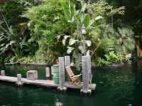 📍 디즈니 공주를 만날 수 있는 LA 디즈니랜드 (Disneyland Resort, Anaheim)