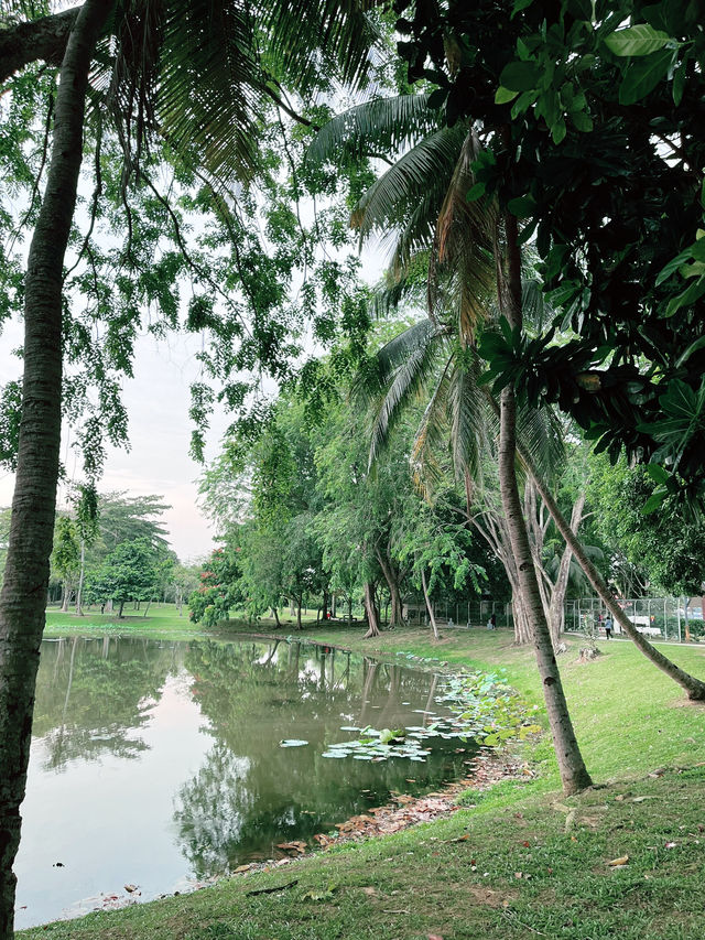 Serene Escapes at Taman Tasik Cyberjaya
