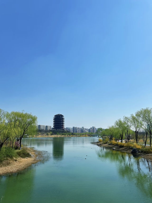 【齊盛湖公園】終極遊玩攻略 | 淄博城市綠肺的慢生活 🏞️