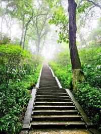 Discovered the Stairways to Heaven